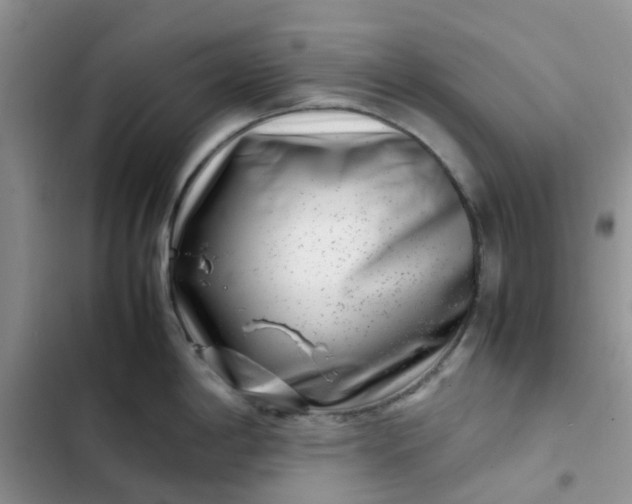 X0000102511198200808221810