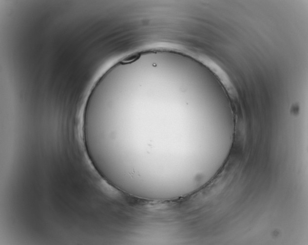 X0000102511199200808221810