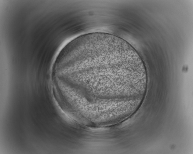 X0000102511200200808221810
