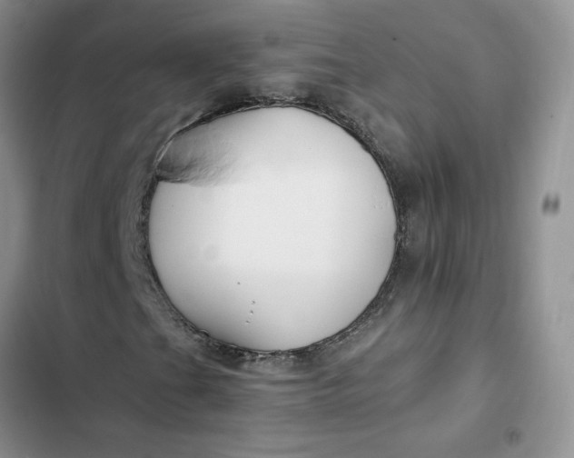 X0000102511201200808221809