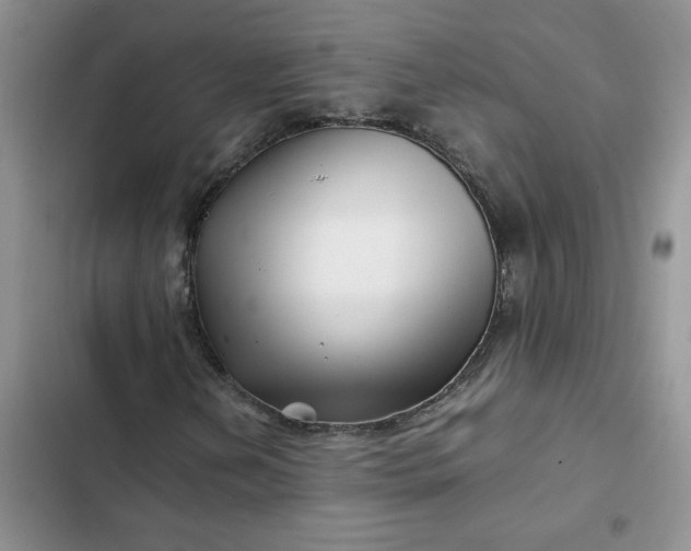 X0000102511202200808221809