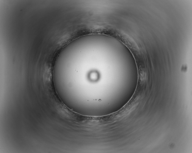 X0000102511204200808221809