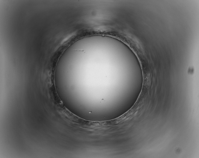 X0000102511205200808221809