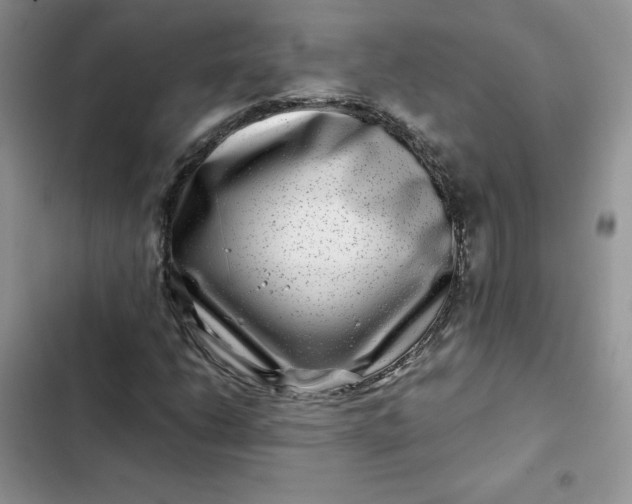 X0000102511206200808221809