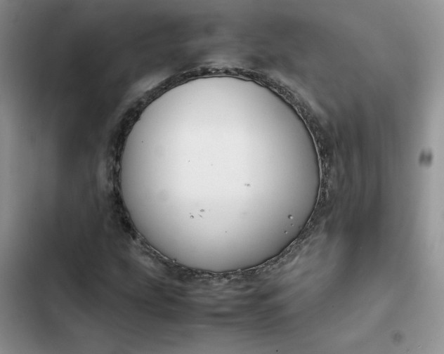 X0000102511207200808221809