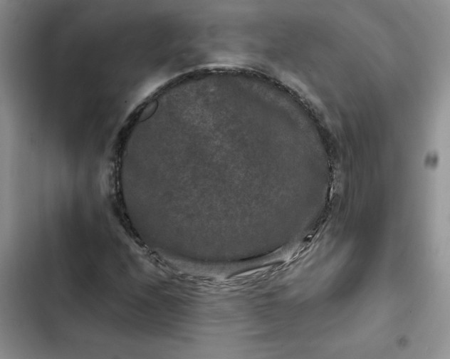 X0000102511208200808221809