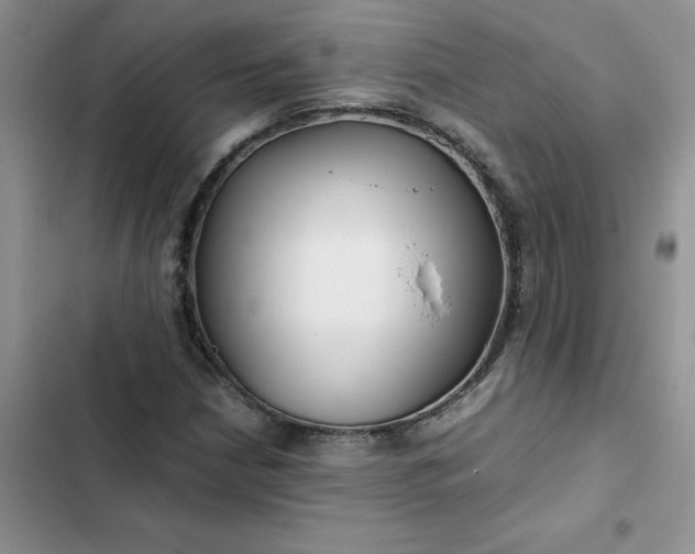 X0000102511210200808221809