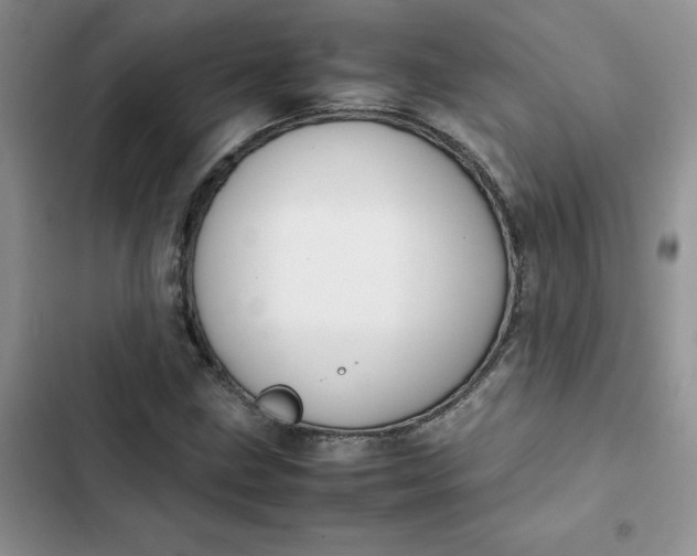 X0000102511211200808221809