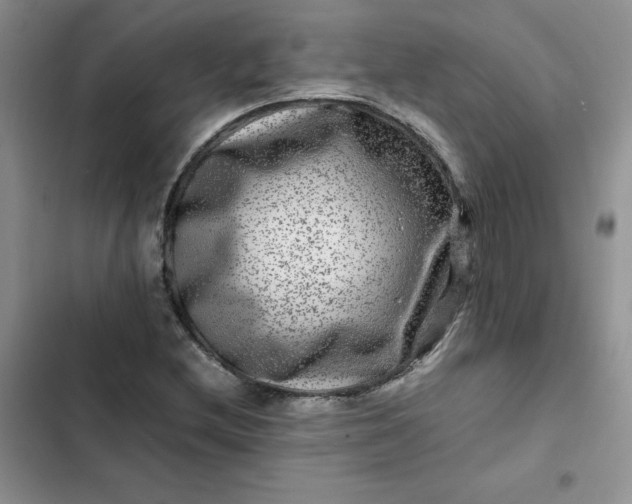 X0000102511212200808221809