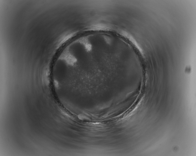X0000102511213200808221809