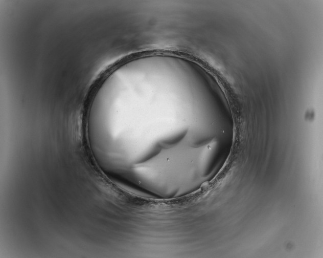 X0000102511214200808221809