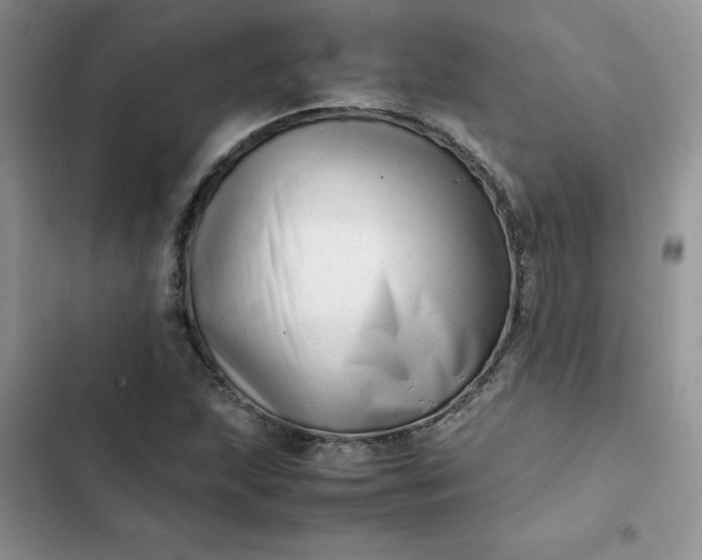 X0000102511215200808221810