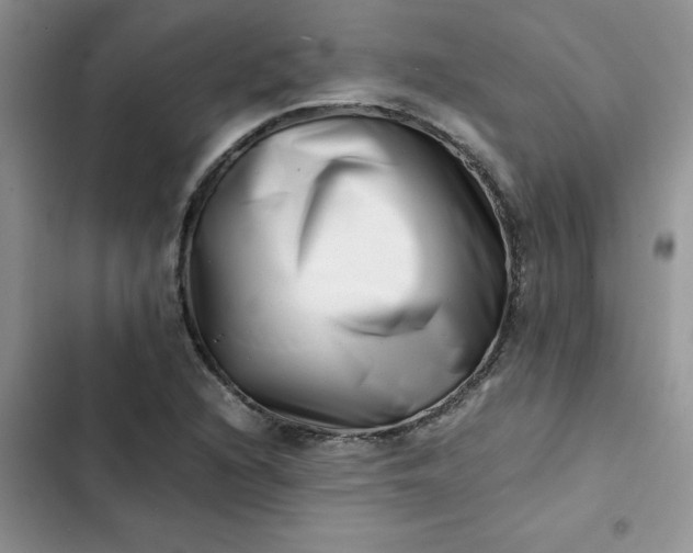 X0000102511216200808221810