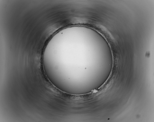 X0000102511217200808221810
