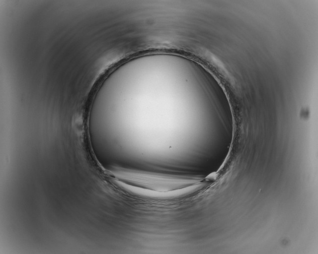 X0000102511218200808221810