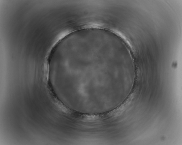 X0000102511219200808221810