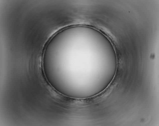 X0000102511220200808221810