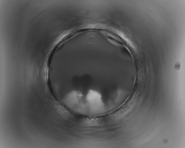 X0000102511221200808221810