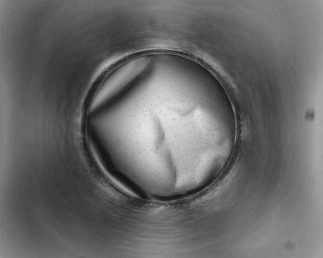 X0000102511222200808221810