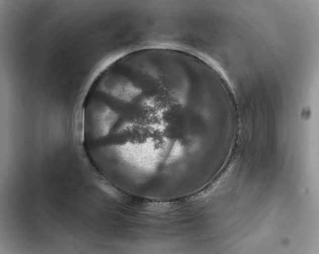 X0000102511223200808221810