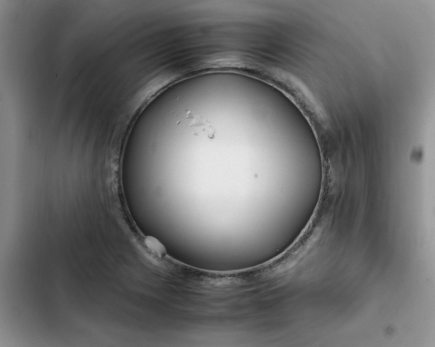 X0000102511225200808221810