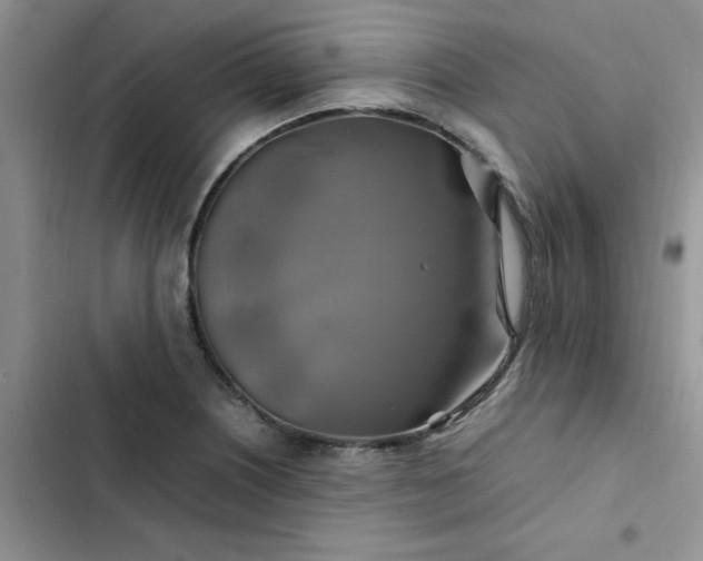 X0000102511226200808221810