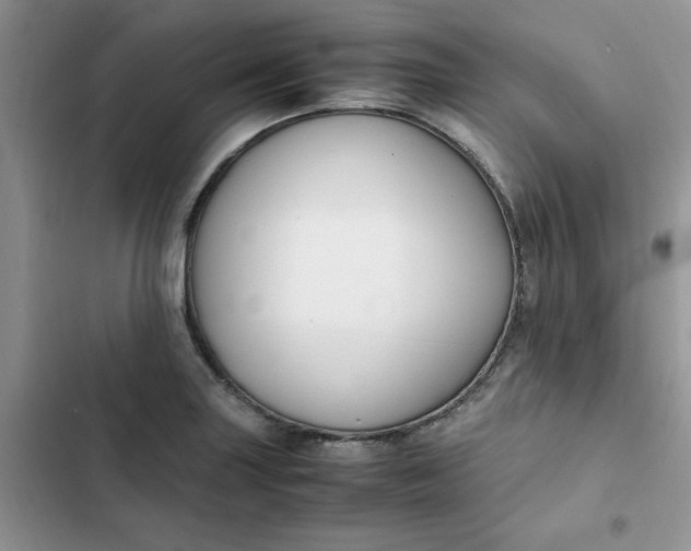 X0000102511227200808221810