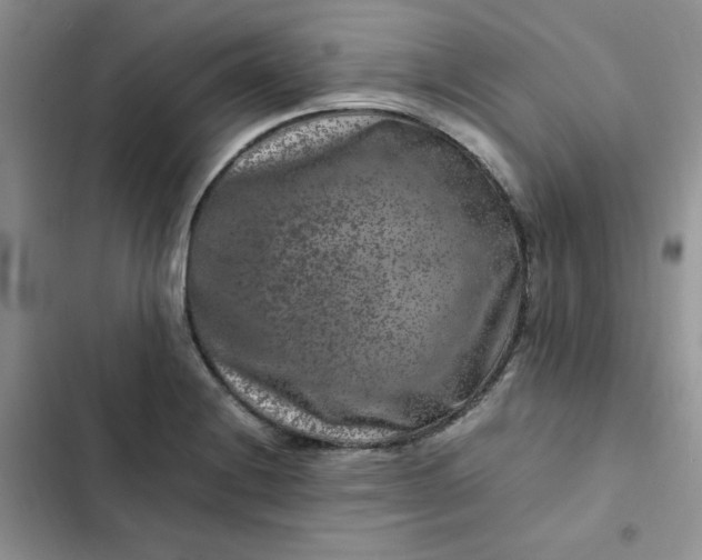 X0000102511228200808221810