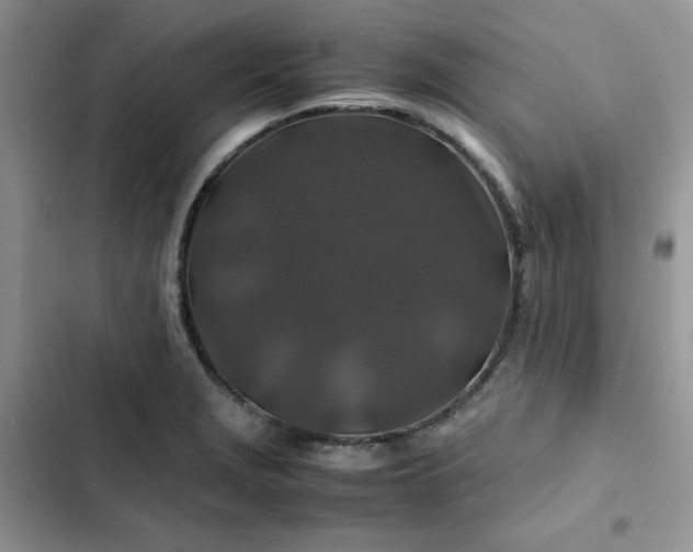 X0000102511229200808221810