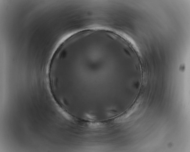 X0000102511231200808221810