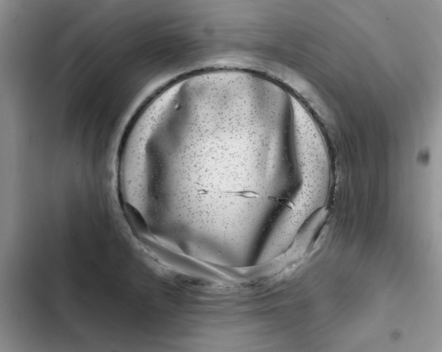 X0000102511232200808221810