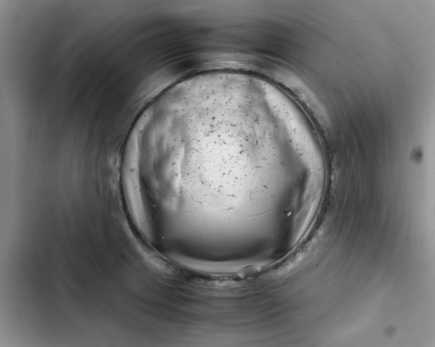 X0000102511233200808221810