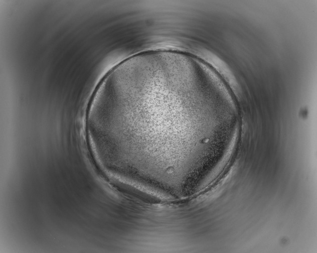 X0000102511234200808221810
