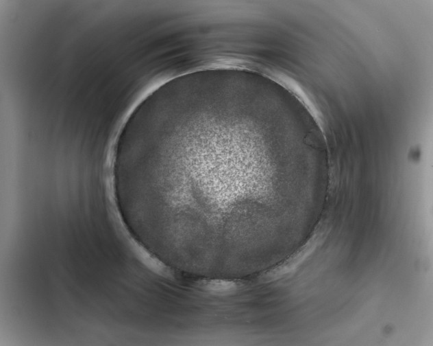 X0000102511235200808221810