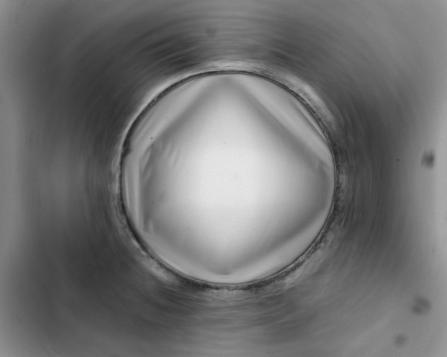 X0000102511236200808221810