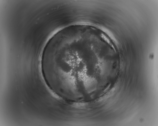 X0000102511237200808221810