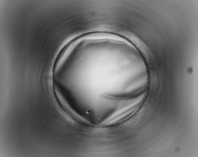 X0000102511238200808221810