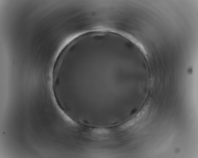 X0000102511239200808221810