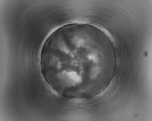 X0000102511240200808221810