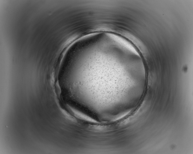 X0000102511241200808221810