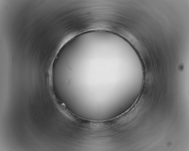 X0000102511242200808221810