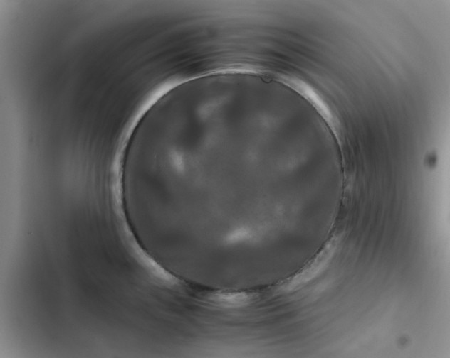 X0000102511243200808221810