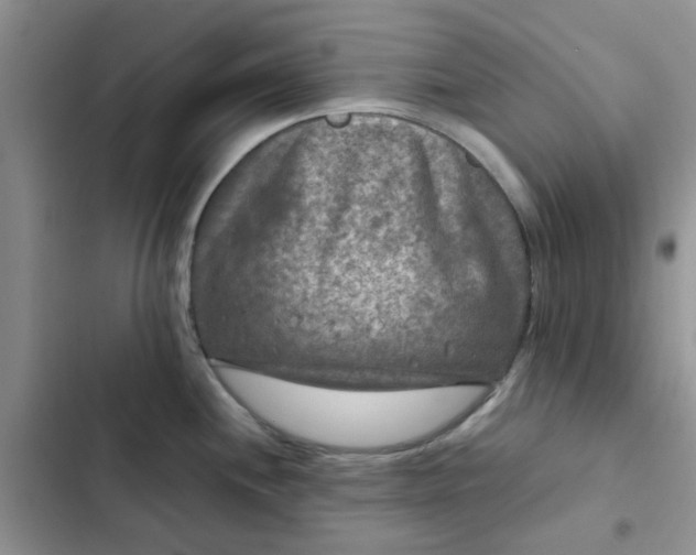 X0000102511244200808221810