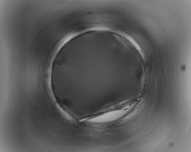 X0000102511245200808221810