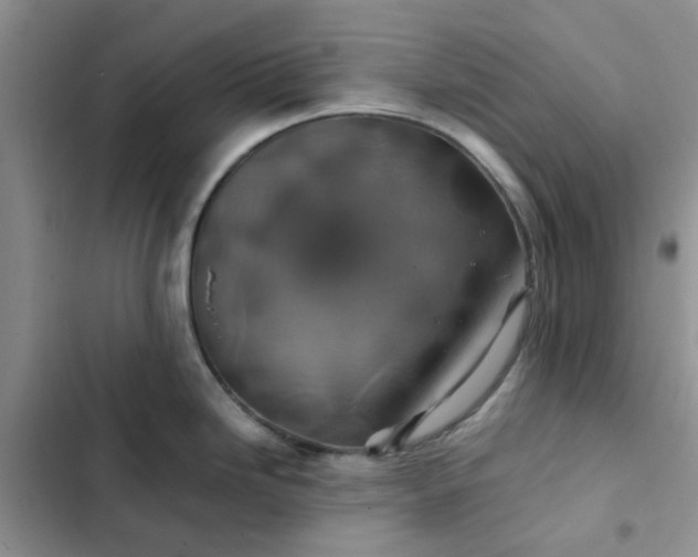 X0000102511246200808221810