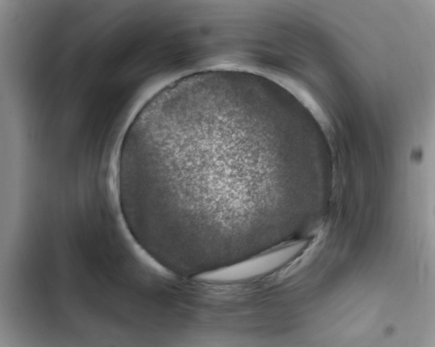 X0000102511247200808221810