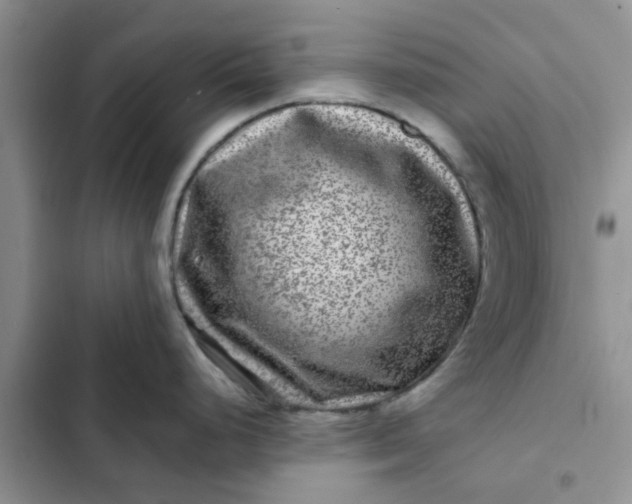 X0000102511248200808221810