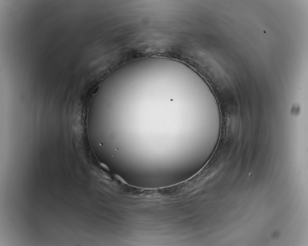 X0000102511250200808221809