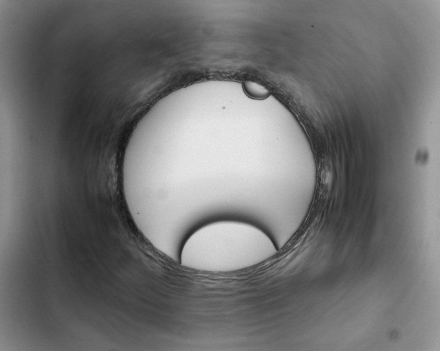 X0000102511252200808221809