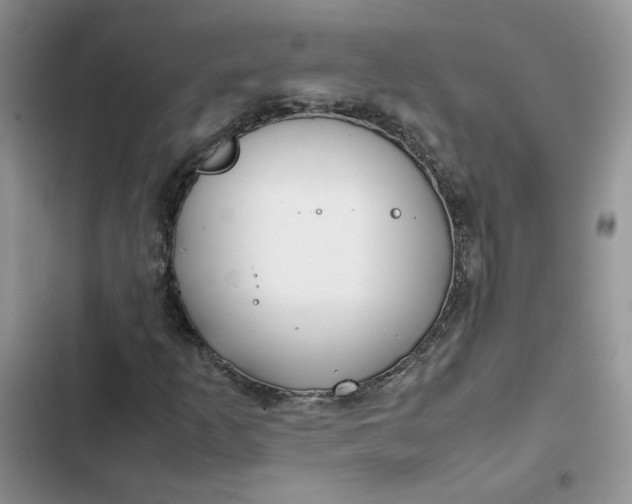 X0000102511253200808221809